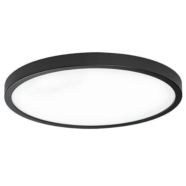 Потолочный накладной LED светильник 48W 5000K 4320Lm круглый &Oslash;500 мм IP20 THE-Light TL 2029485 BK TL 2029485 BK фото