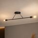 Люстра подвесная MSK Electric Asket на две лампы Е27 NL 10320-2 BK черная 619546 фото 1