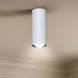 Світильник стельовий MSK Electric Tube NL 1205 W 613880 фото 1