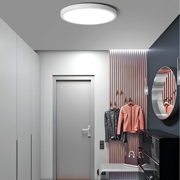 Потолочный накладной LED светильник 24W 5000K 2160Lm &Oslash;230 мм белый IP20 THE-Light TL 2033245 WH TL 2033245 WH фото