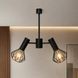 Люстра MSK Electric Diadem на два плафони Е27 чорна NL 22152-2 BK 619803 фото 2