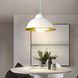 Светильник подвесной в стиле лофт MSK Electric Dome СП 3614 WH+GD 615439 фото 1