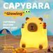 Детский силиконовый сенсорный LED ночник "Сидящая капибара" 2W 3000К аккумуляторный бежевый VALESO A042 SP000052663 фото 4