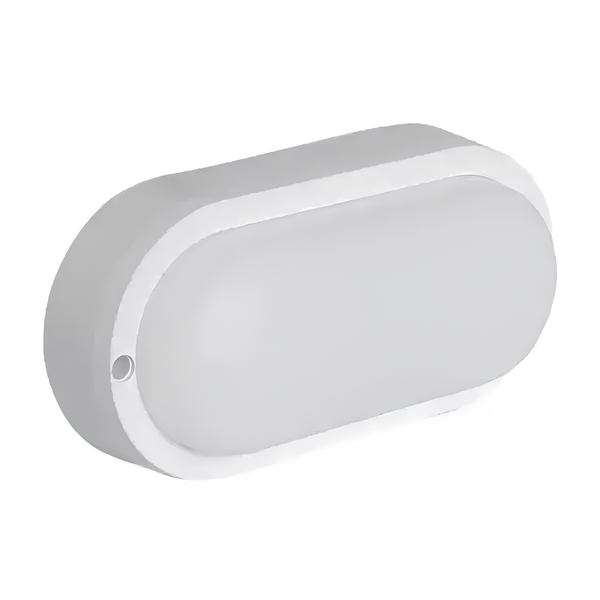 LED светильник 8W IP65 Sirius овальный светодиодный накладной ЖКХ 6500К белый уличный SP000025889 фото