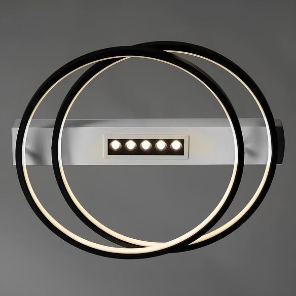Потолочная кольцевая LED люстра с пультом 88W+10W точечная подсветка 3000-6500К в черно-белом цвете Svet SY-16049/2 WH+BK SY-16049/2 WH+BK фото
