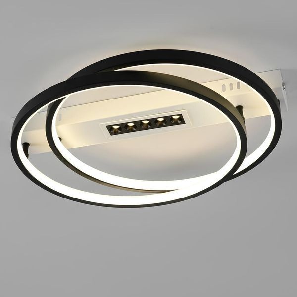 Потолочная кольцевая LED люстра с пультом 88W+10W точечная подсветка 3000-6500К в черно-белом цвете Svet SY-16049/2 WH+BK SY-16049/2 WH+BK фото