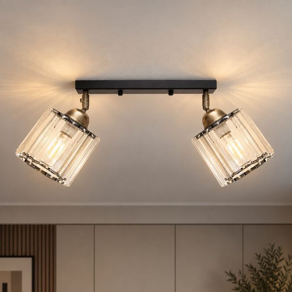 Светильник настенно-потолочный MSK Electric Brillante спот на два плафона Е27 черный NL 121251-2 BK 623421 фото