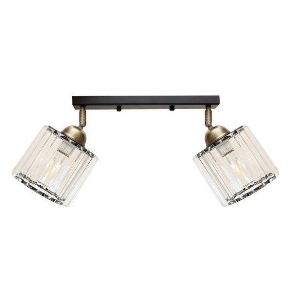 Светильник настенно-потолочный MSK Electric Brillante спот на два плафона Е27 черный NL 121251-2 BK 623421 фото
