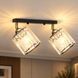 Светильник настенно-потолочный MSK Electric Brillante спот на два плафона Е27 черный NL 121251-2 BK 623421 фото 6