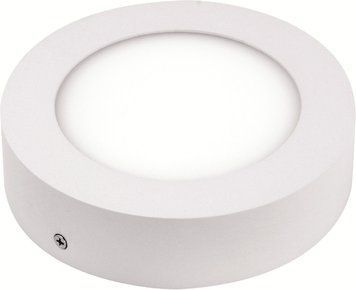 Светильник накладной 12W LED Horoz Electric CAROLINE-12 6400К белый круглый IP20 016-025-0012-011 фото