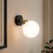 Светильник настенно-потолочный MSK Electric Luna на один плафон шар под лампу Е27 PL 20261-1 BK 622655 фото 1