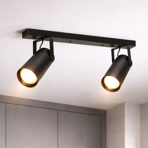 Светильник потолочный спот поворотный MSK Electric Focus под две лампы Е27 черный NL 14050-2 BK 622031 фото