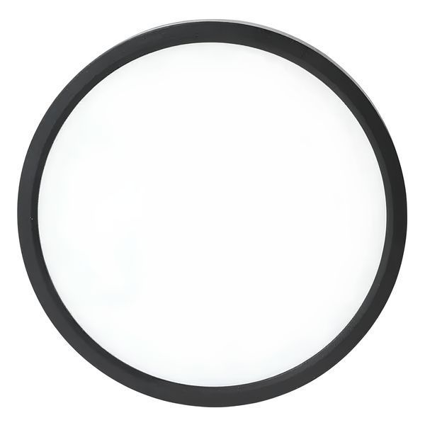 Потолочный накладной LED светильник 28W 5000K 2520Lm круглой формы &Oslash;300 мм IP20 THE-Light TL 2029285 BK TL 2029285 BK фото