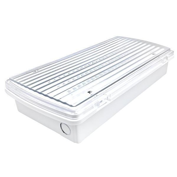 Аварийный LED светильник&nbsp;8W&nbsp;Horoz Electric&nbsp;влагозащищенный 6000К пластиковый белый IP65&nbsp;"KANU" 084-043-0008-010 фото