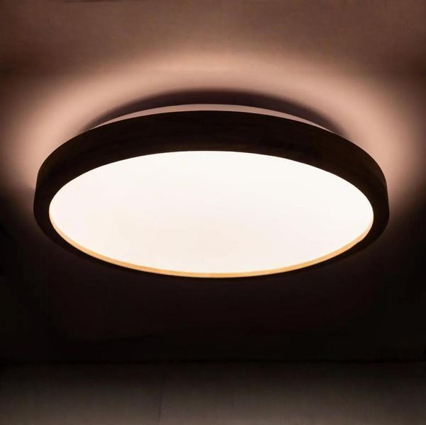 Стельовий LED світильник 60W з пультом Vestum з матовим розсіювачем 3000К-6500К горіх IP40 WOOD VS-91046 фото